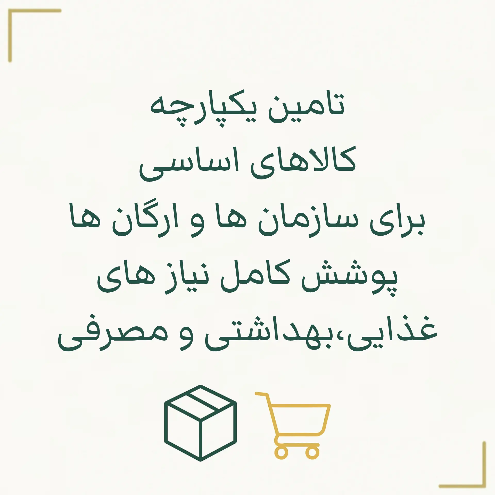 InShot_20251029_203728496