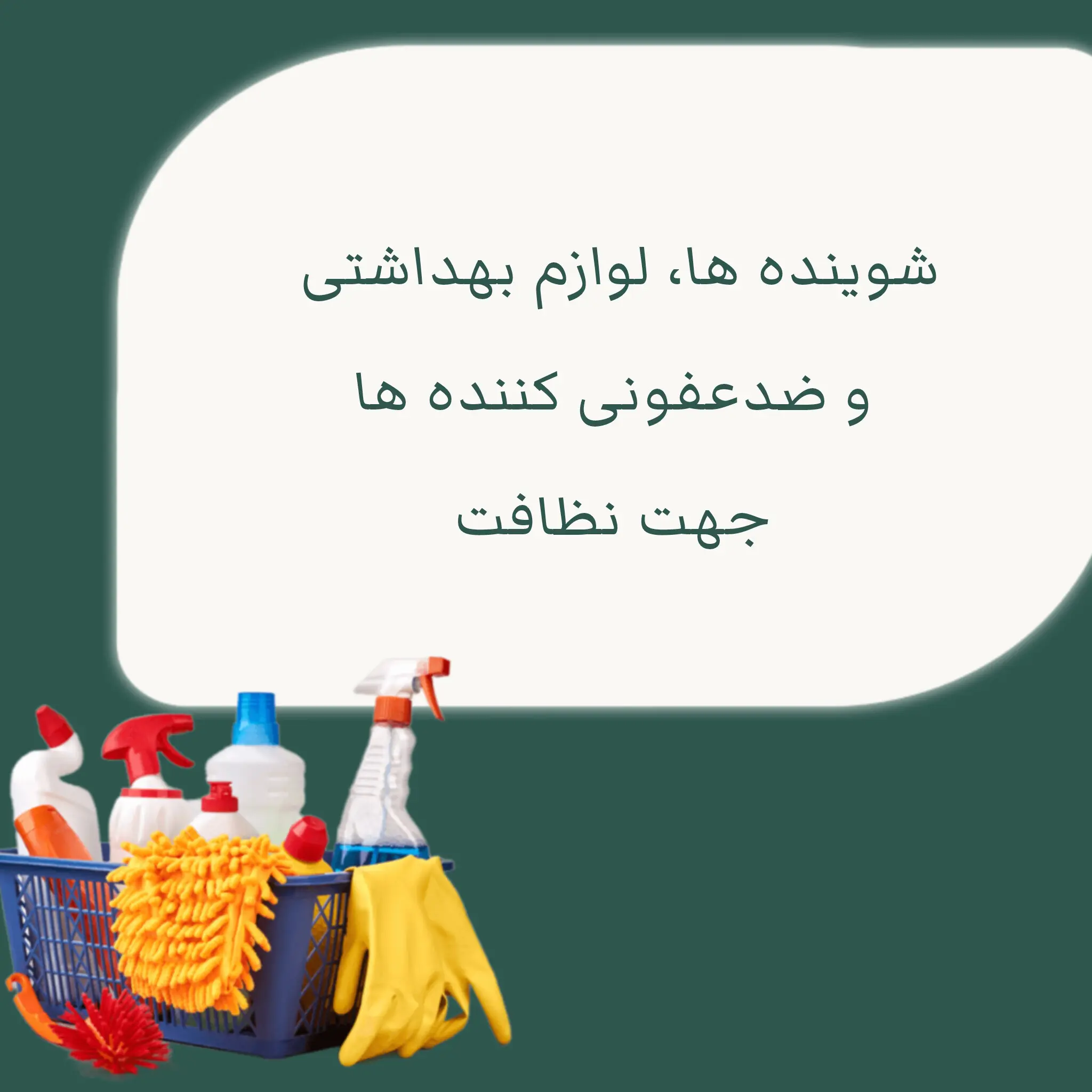 InShot_20251031_211134100