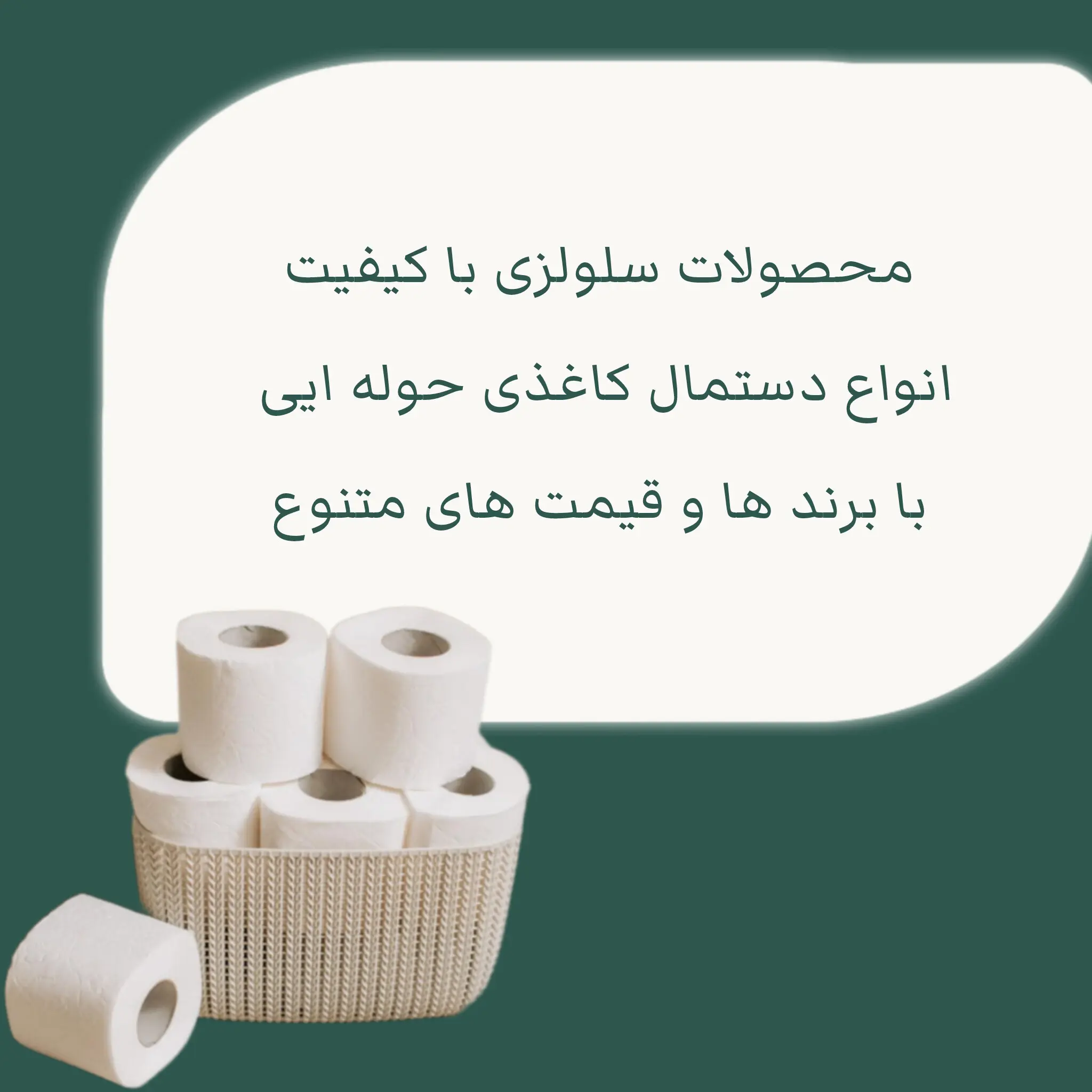 InShot_20251031_211508319