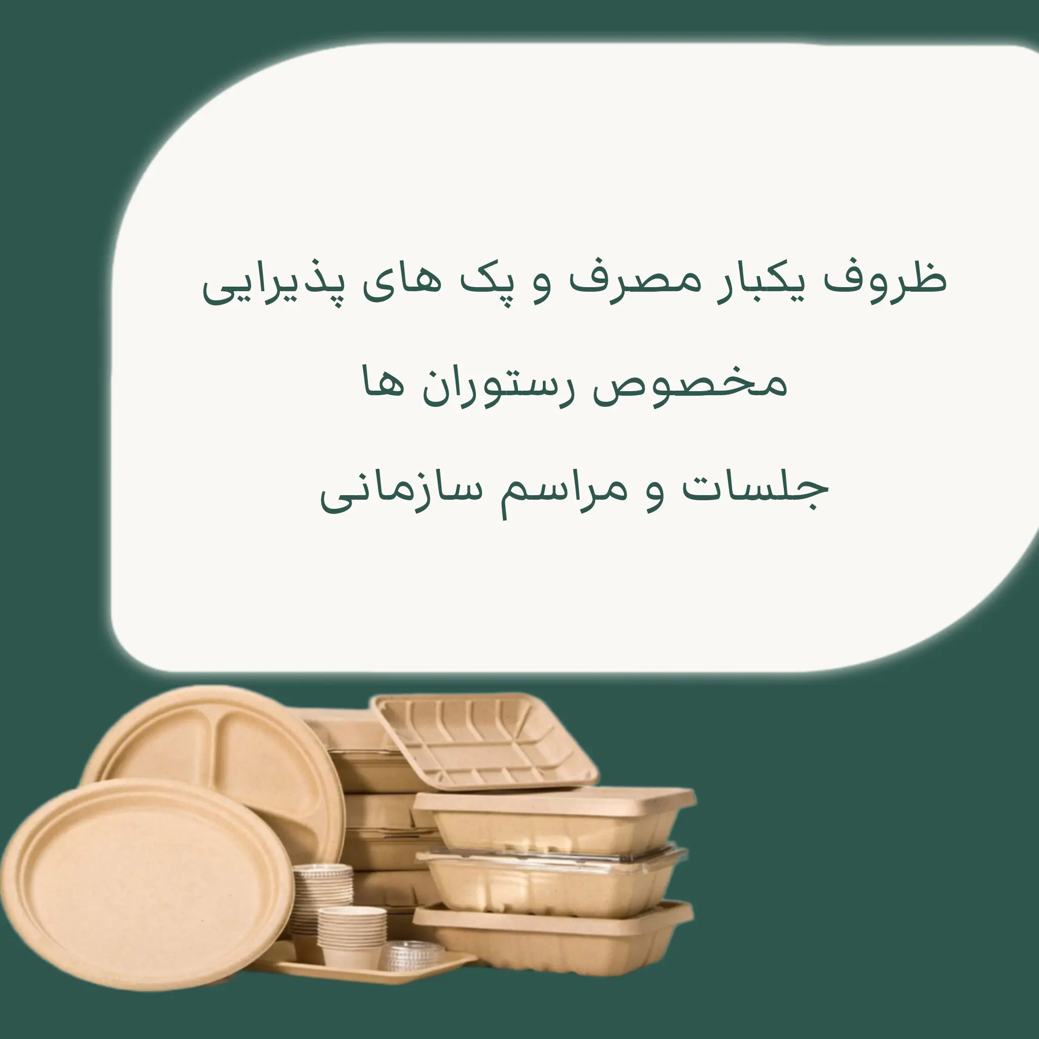 InShot_20251031_211654605