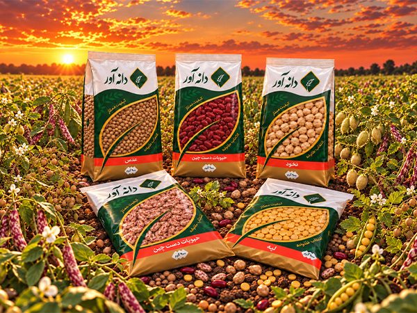 راهنمای کامل خرید عمده حبوبات